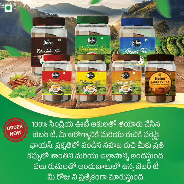 Premium Tea Combo Pack